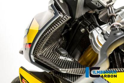 Ilmberger Carbon Cover near the Instruments, Left Side for the BMW S 1000 XR 2015-2019