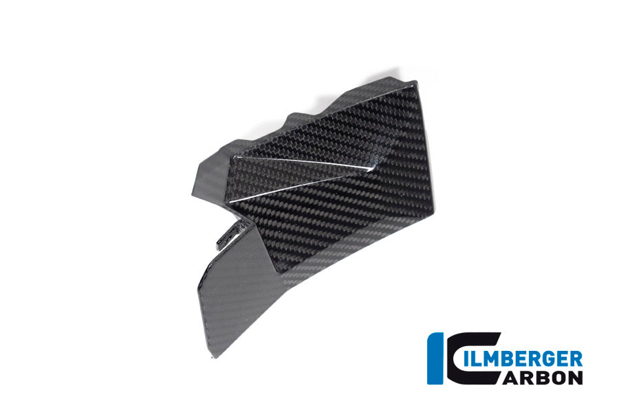 Ilmberger Carbon Cover near the instruments, Right Side for the BMW S 1000 XR '20-24 / M 1000 XR '24