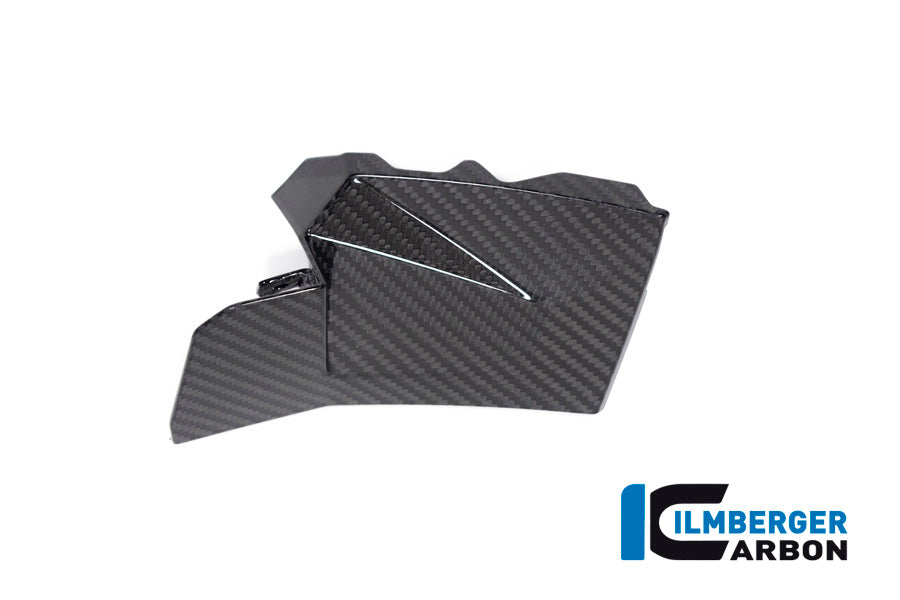 Ilmberger Carbon Cover near the instruments, Right Side for the BMW S 1000 XR '20-24 / M 1000 XR '24