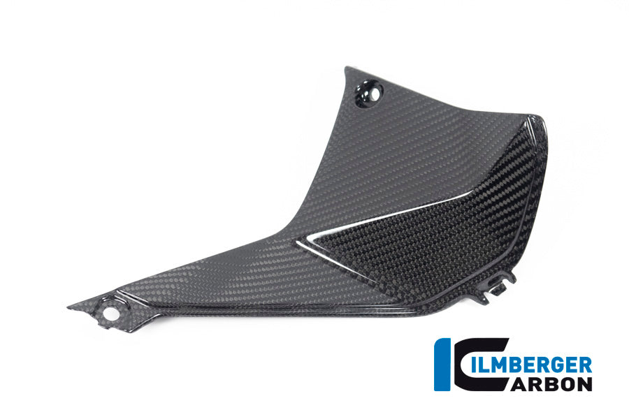 Ilmberger Carbon Cover near the Instruments, Right Side for the BMW R 1250 RS 2019