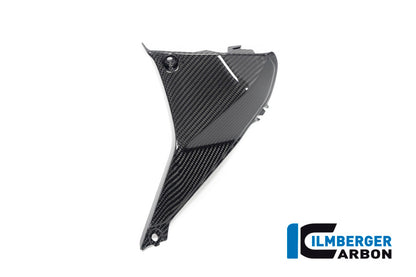 Ilmberger Carbon Cover near the Instruments, Right Side for the BMW R 1250 RS 2019