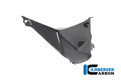 Ilmberger Carbon Cover near the Instruments, Right Side for the BMW R 1250 RS 2019