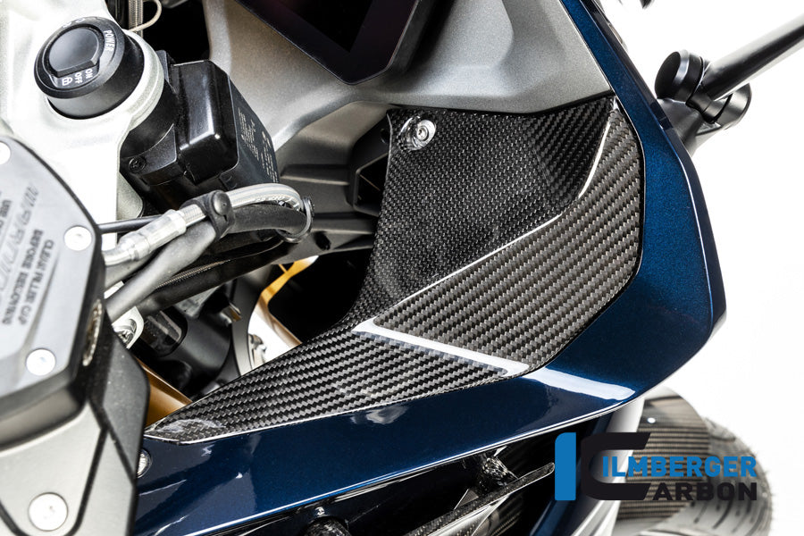 Ilmberger Carbon Cover near the Instruments, Right Side for the BMW R 1250 RS 2019