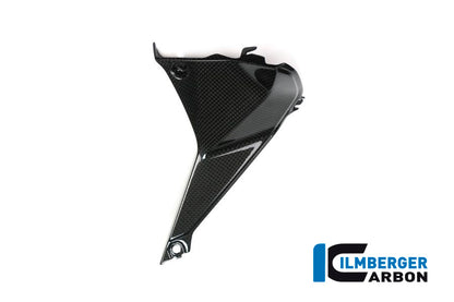 Ilmberger Carbon Cover near the Instruments, Right for the BMW R 1200 RS 2015