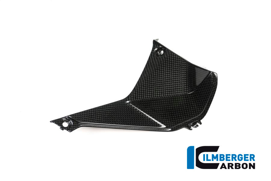 Ilmberger Carbon Cover near the Instruments, Right for the BMW R 1200 RS 2015