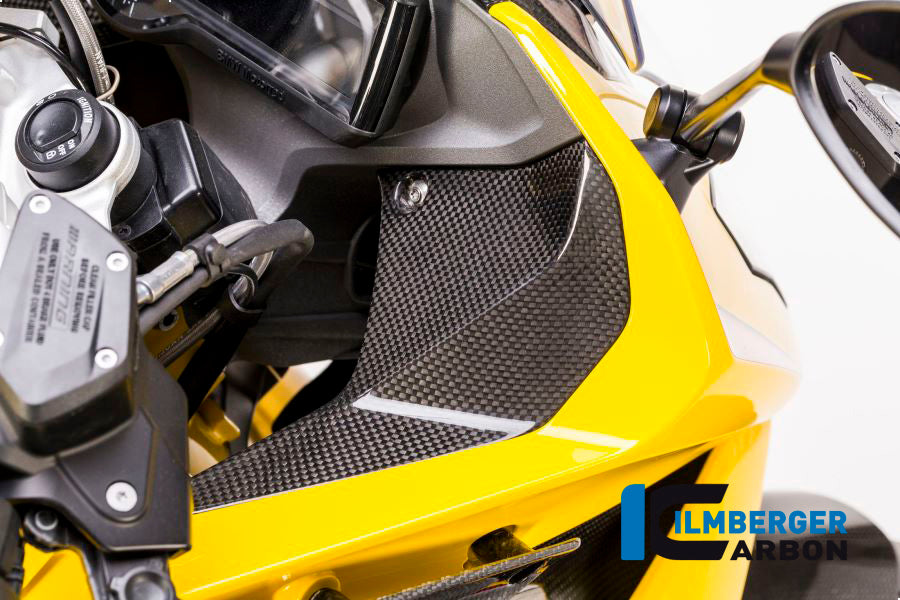 Ilmberger Carbon Cover near the Instruments, Right for the BMW R 1200 RS 2015
