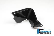 Ilmberger Carbon Cover near the Instruments, Right Side for the BMW S 1000 XR 2015-2019