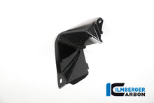 Ilmberger Carbon Cover near the Instruments, Right Side for the BMW S 1000 XR 2015-2019