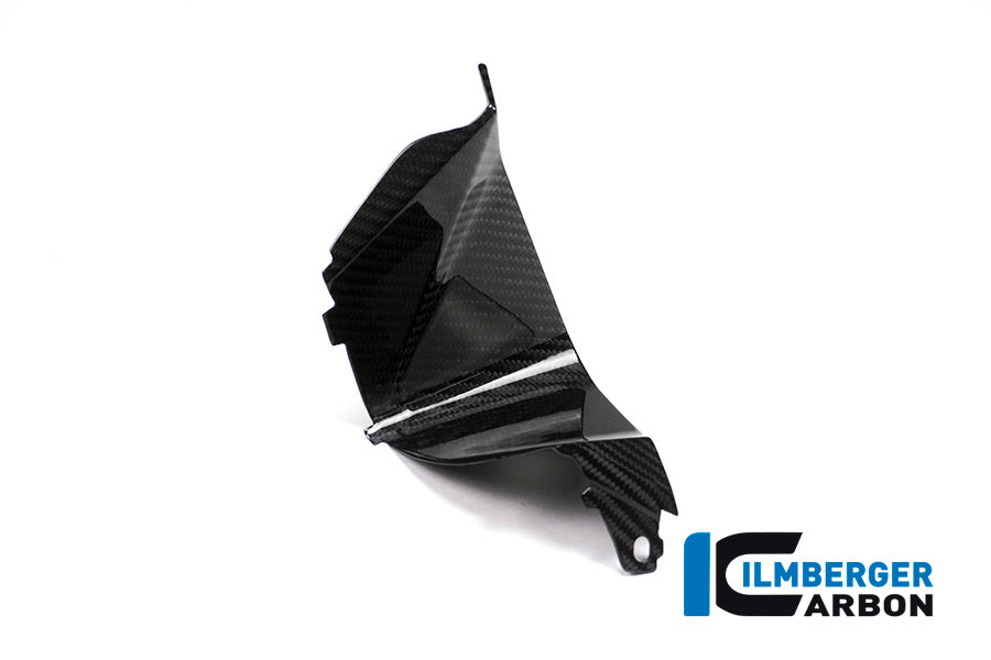 Ilmberger Carbon Cover near the Instruments, Right Side for the BMW S 1000 XR 2015-2019