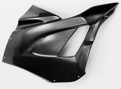 CARBONIN CARBON FIBER RACE BODYWORK FOR BMW S1000RR (2020+)