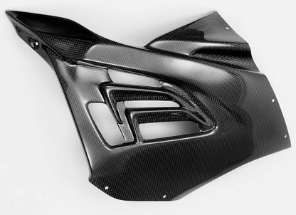 CARBONIN CARBON FIBER RACE BODYWORK FOR BMW S1000RR (2020+)