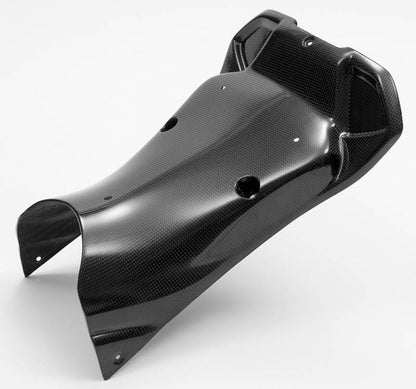CARBONIN CARBON FIBER RACE BODYWORK FOR BMW S1000RR (2020+)