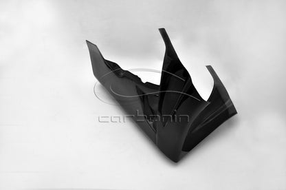 CARBONIN CARBON FIBER RACE BODYWORK FOR HONDA CBR1000RR (2008-11)