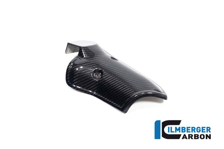Ilmberger Carbon Silencer Protector for the BMW R 1300 GS 2023 / GS Adventure 2024