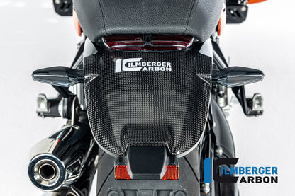 Ilmberger Carbon Bilnker Holder Cover, Carbon for the BMW R12 Nine T 2024