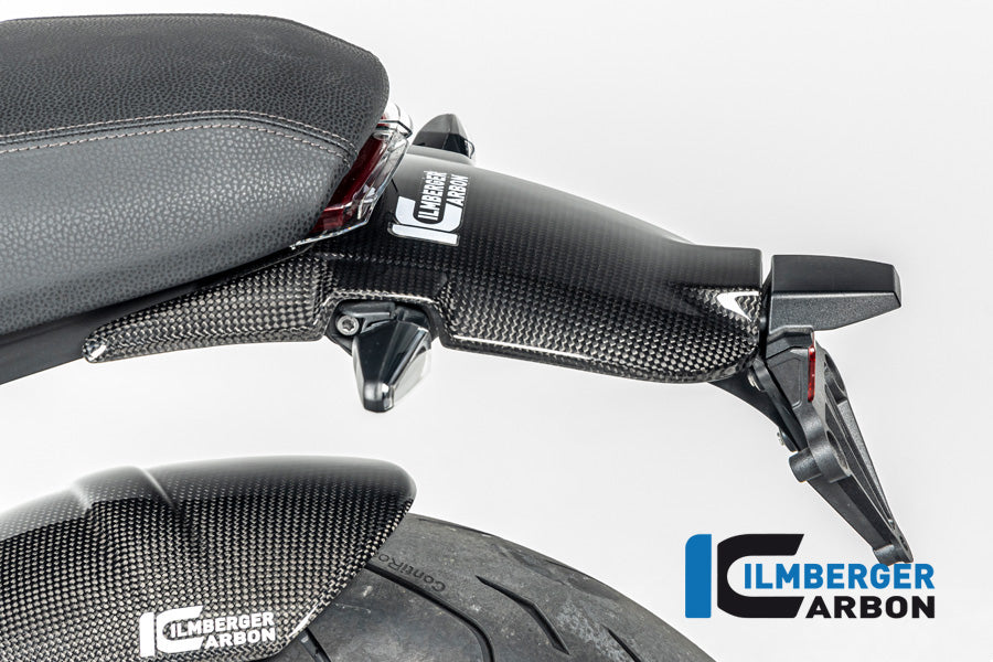 Ilmberger Carbon Bilnker Holder Cover, Carbon for the BMW R12 Nine T 2024
