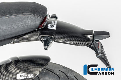 Ilmberger Carbon Bilnker Holder Cover, Carbon for the BMW R12 Nine T 2024