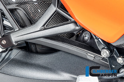 Ilmberger Carbon Brake Line Cover, Carbon for the BMW R12 Nine T 2024