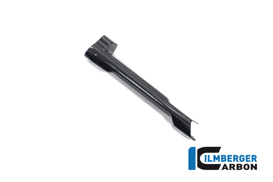 Ilmberger Carbon Brake-pipe Cover for the BMW R 1300 GS 2023 / GS Adventure 2024