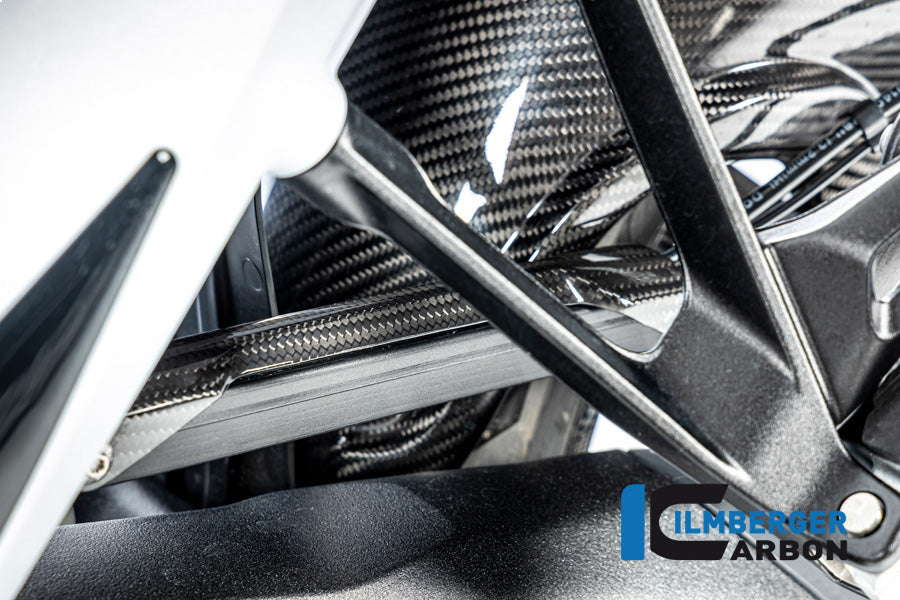 Ilmberger Carbon Brake-pipe Cover for the BMW R 1300 GS 2023 / GS Adventure 2024