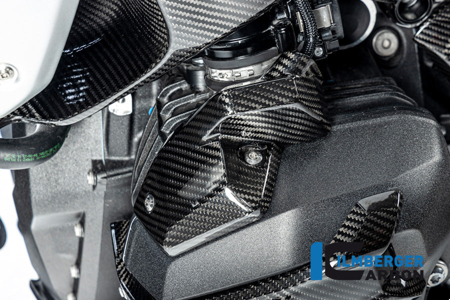 Ilmberger Carbon Injector Nozzle Cover, Left for the BMW R 1300 GS 2023 / GS Adventure 2024