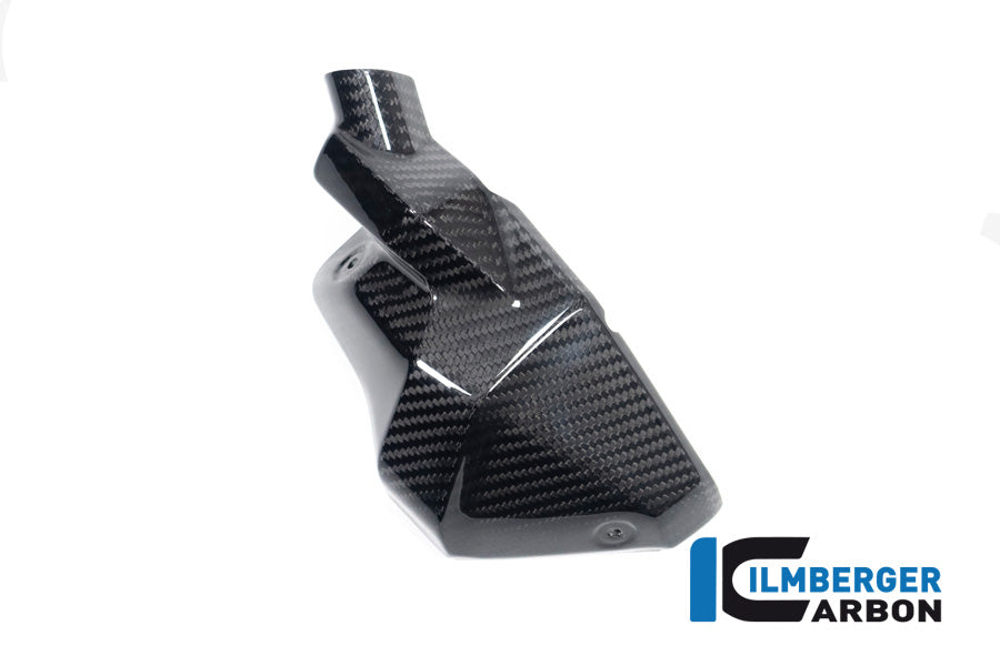 Ilmberger Carbon Injector Nozzle Cover, Right for the BMW R 1300 GS 2023 / GS Adventure 2024