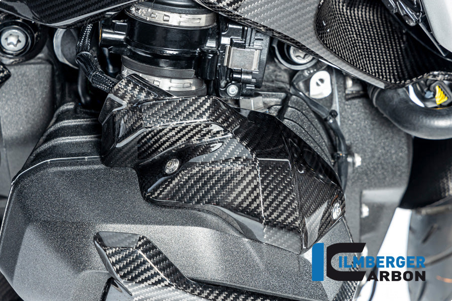 Ilmberger Carbon Injector Nozzle Cover, Right for the BMW R 1300 GS 2023 / GS Adventure 2024