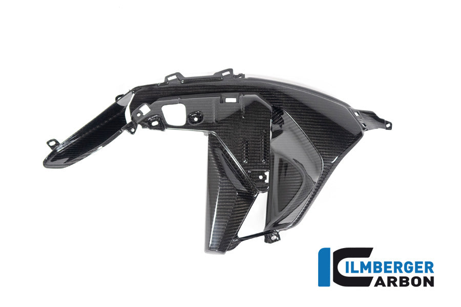 Ilmberger Carbon Airvent Cover, Left Side for the BMW R 1300 GS 2023
