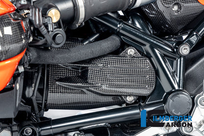 Ilmberger Carbon Starter Cover, Carbon for the BMW R12 Nine T Carbon 2024