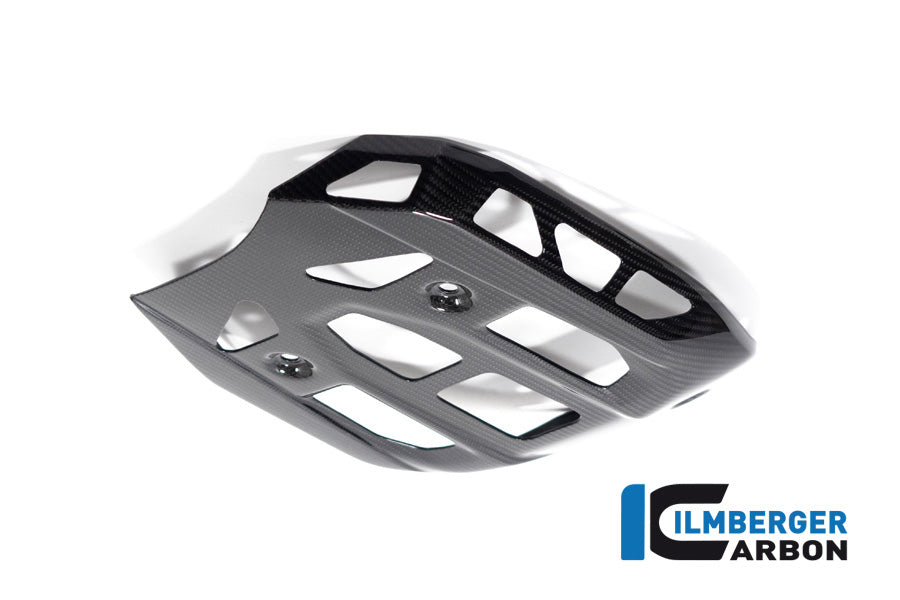 Ilmberger Carbon Sumpguard for the BMW R 1300 GS 2023 / GS Adventure 2024