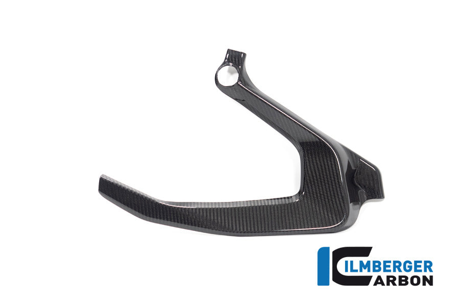 Ilmberger Carbon Frame Cover, Left Carbon for the BMW R 1300 GS 2023 / GS Adventure 2024