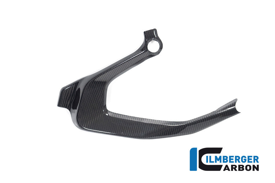 Ilmberger Carbon Frame Cover, Left Carbon for the BMW R 1300 GS 2023 / GS Adventure 2024