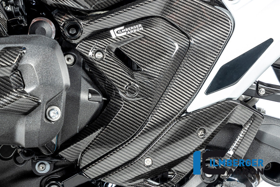 Ilmberger Carbon Triangular Frame Cover, Left for the BMW R 1300 GS 2023 / GS Adventure 2024