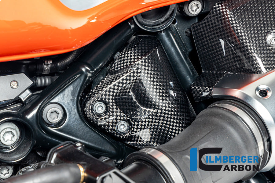 Ilmberger Carbon Tank Breather Cover, Carbon for the BMW R12 Nine T Carbon 2024