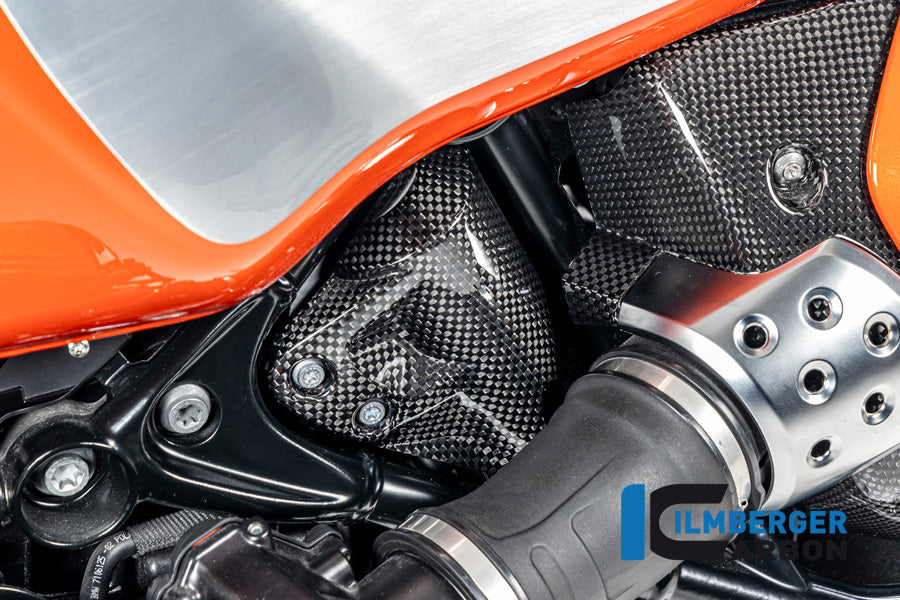 Ilmberger Carbon Tank Breather Cover, Carbon for the BMW R12 Nine T Carbon 2024