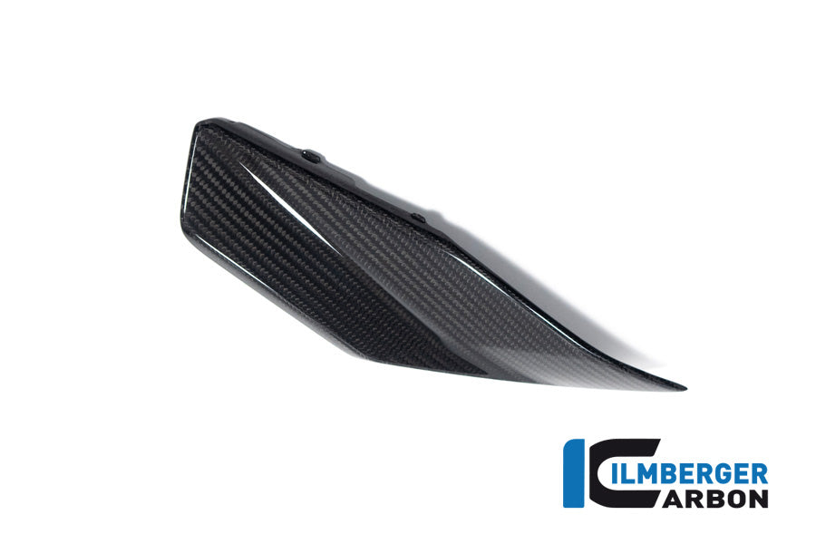 Ilmberger Carbon Lower Tank Cover Left for the BMW R 1300 GS 2023