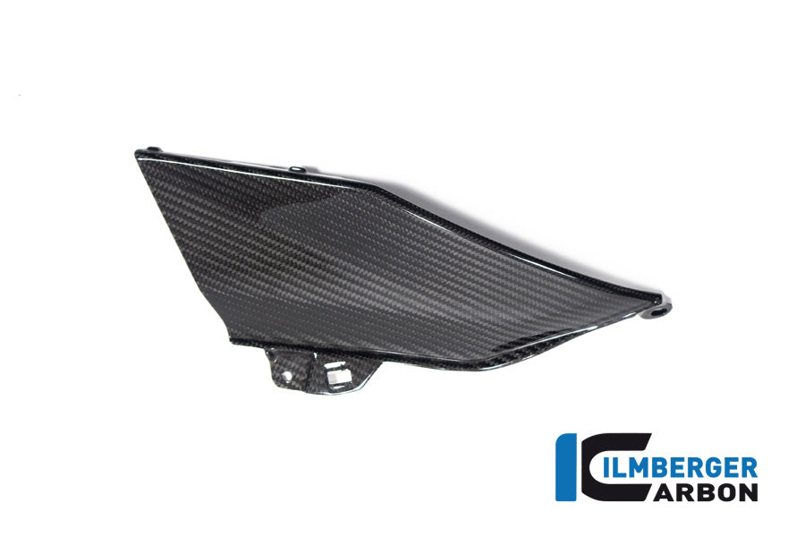 Ilmberger Carbon Lower Tank Cover Left (Upper Piece) for the BMW R 1300 GS 2023