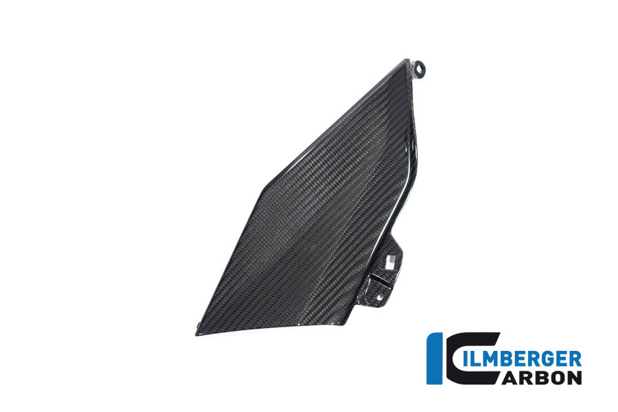 Ilmberger Carbon Lower Tank Cover Left (Upper Piece) for the BMW R 1300 GS 2023