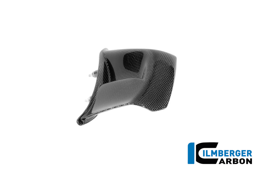 Ilmberger Carbon Right, Winglet Gloss for the Ducati Panigale V4 / V4 S '2025