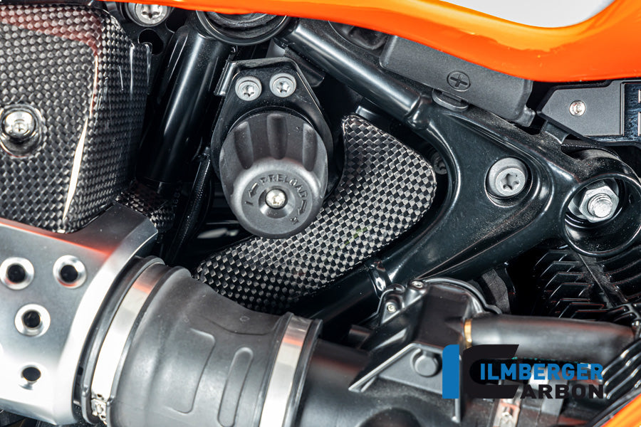 Ilmberger Carbon Toolbox Cover, Carbon for the BMW R12 Nine T Carbon 2024