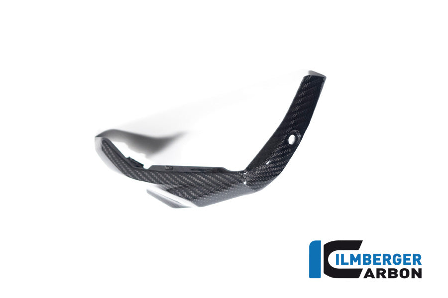 Ilmberger Carbon Spark Plug Cap Cover, Right for the BMW R 1300 GS 2023 / GS Adventure 2024