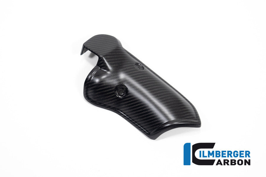 Ilmberger Carbon Silencer Protector for the BMW R 1300 GS 2023 / GS Adventure 2024
