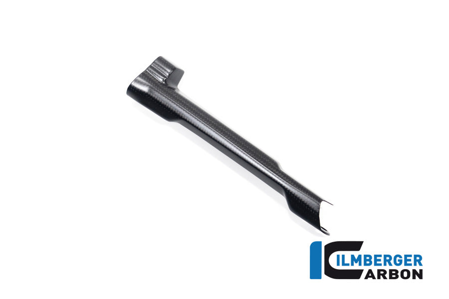 Ilmberger Carbon Brake-pipe Cover for the BMW R 1300 GS 2023 / GS Adventure 2024