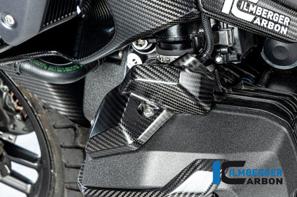 Ilmberger Carbon Injector Nozzle Cover, Left for the BMW R 1300 GS 2023 / GS Adventure 2024