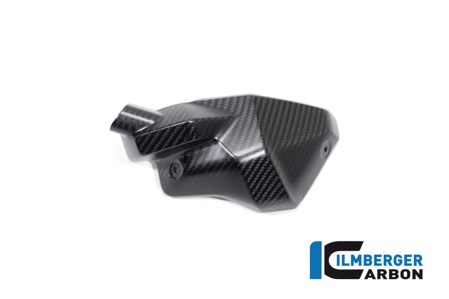 Ilmberger Carbon Injector Nozzle Cover, Right for the BMW R 1300 GS 2023 / GS Adventure 2024