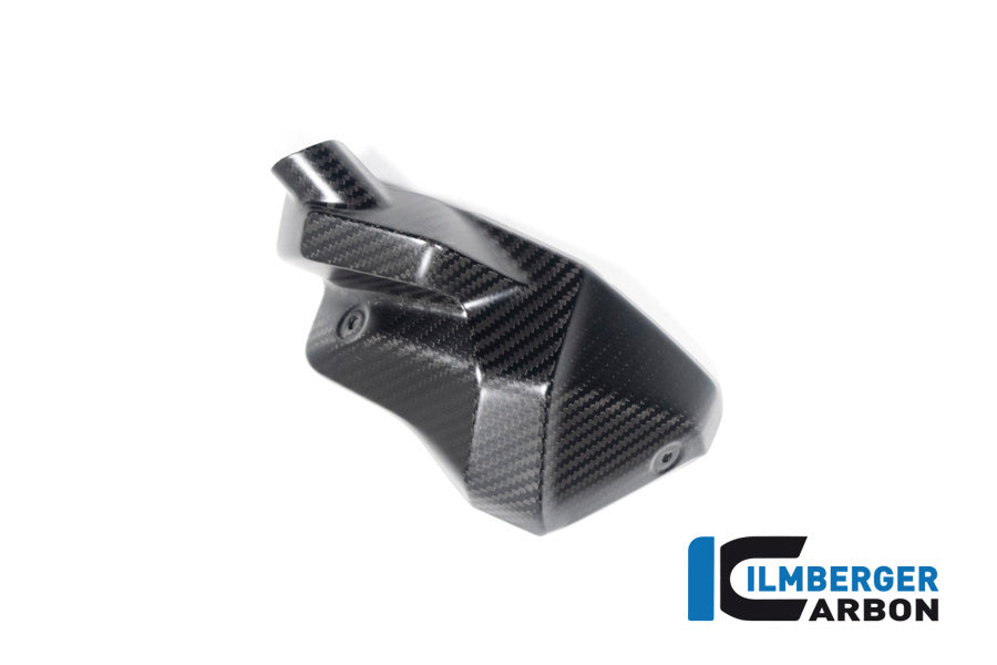 Ilmberger Carbon Injector Nozzle Cover, Right for the BMW R 1300 GS 2023 / GS Adventure 2024
