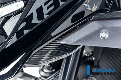 Ilmberger Carbon Airvent Cover, Left Side for the BMW R 1300 GS 2023