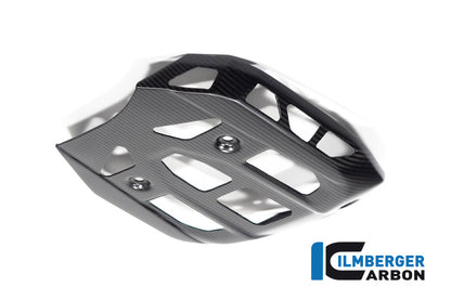 Ilmberger Carbon Sumpguard for the BMW R 1300 GS 2023 / GS Adventure 2024