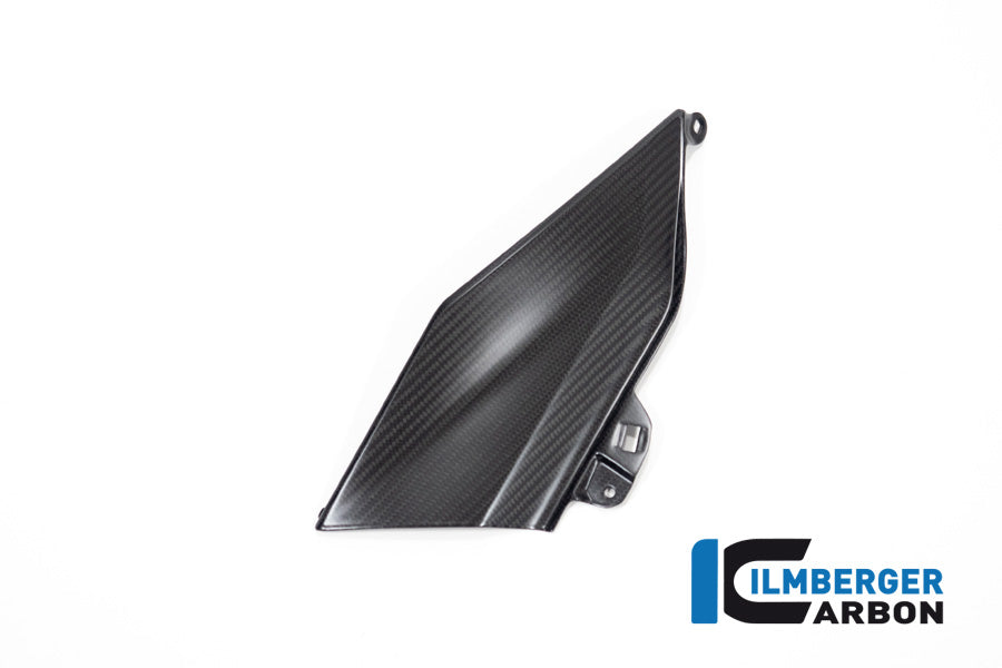 Ilmberger Carbon Lower Tank Cover Left (Upper Piece) for the BMW R 1300 GS 2023
