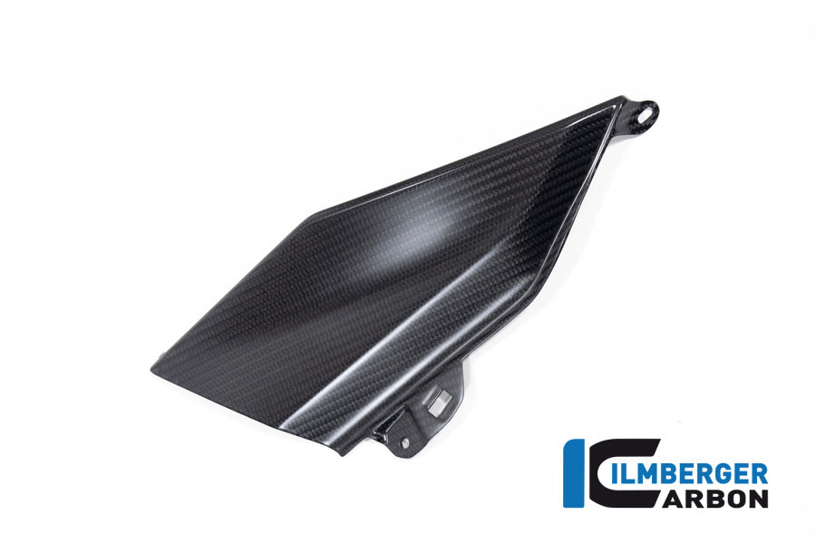 Ilmberger Carbon Lower Tank Cover Left (Upper Piece) for the BMW R 1300 GS 2023